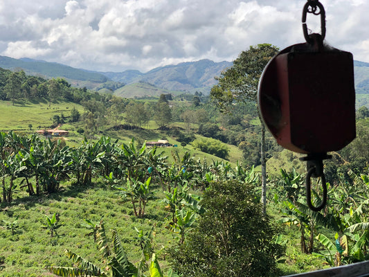 FAPECAFES - Ecuador