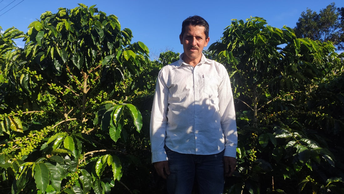 Finca Villa Betulia - Colombia