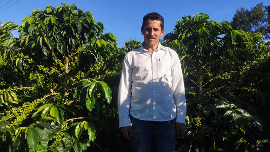 Finca Villa Betulia - Colombia