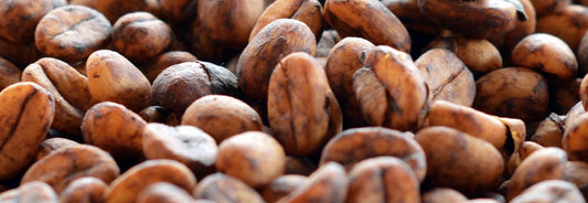 Perfect Daily Grind Interview With Nanelle About Infused Coffees