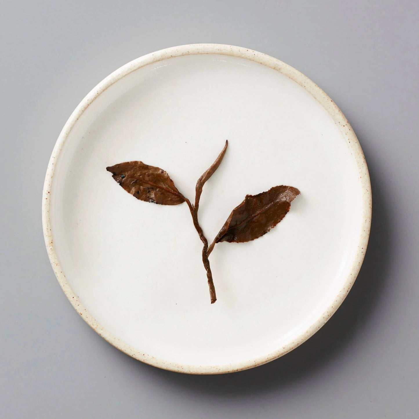 CHAMPAGNE LONG KOU | OOLONG