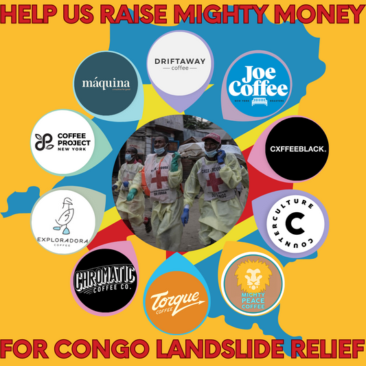 HELP US RAISE MONEY FOR LANDSLIDE RELIEF IN THE DR CONGO!