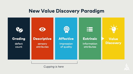 Exploring the New Specialty Coffee Association (SCA) Cupping Scoring System: What’s Different?