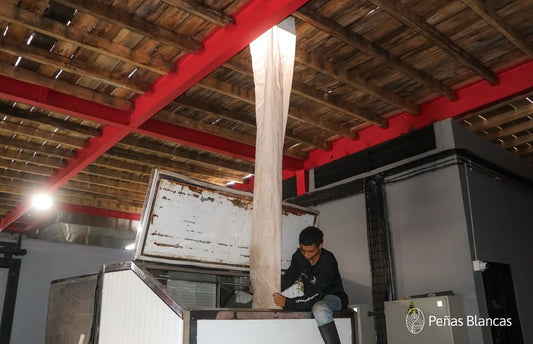 The Truth About Double Anaerobic Coffee Processing (and Why BomBón Shows What’s Possible)