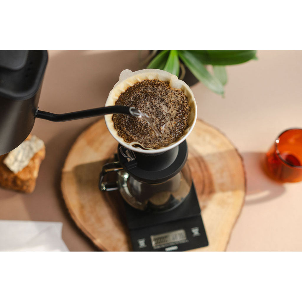 Wholesale Coffee in San Diego: Ethical, Intentional, and Built for Your Café’s Success
