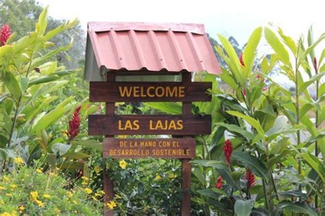 How Costa Rica Became an Ecological Coffee Leader: Beneficio Las Lajas and Sustainable Innovation