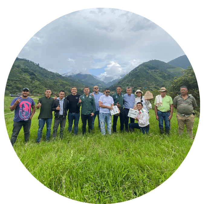 Emmanuel Enciso | Colombia - Torque Coffees - 