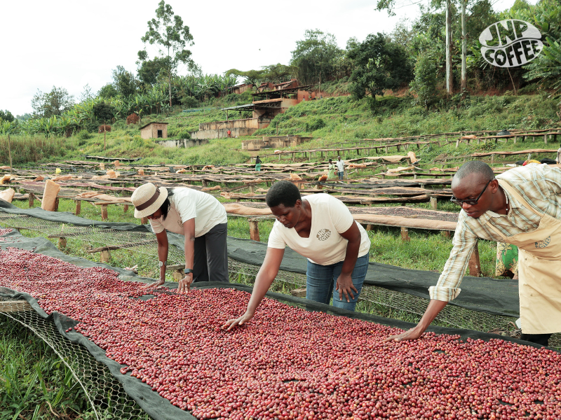 Buhumuza Community | Burundi