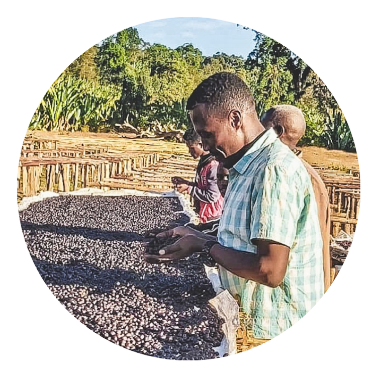 Negusse Debela | Ethiopia