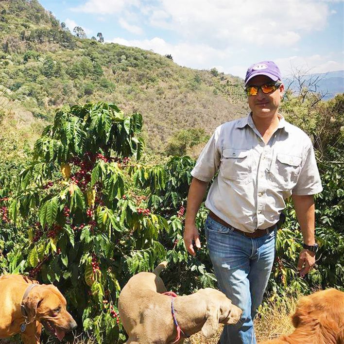 El Socorro, Red Bourbon - Guatemala - GREEN COFFEE -Unroasted - Torque Coffees - 