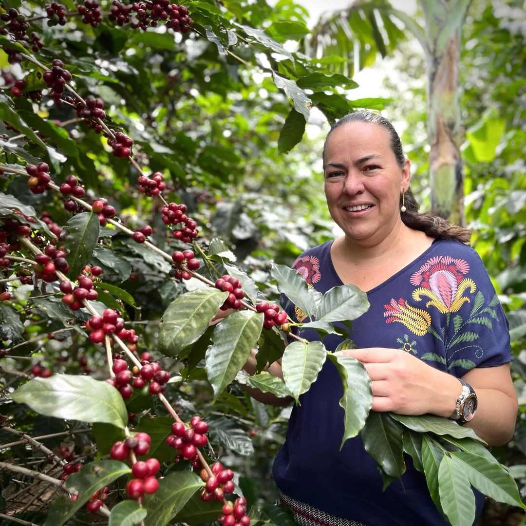 Las Lajas Costa Rica coffee