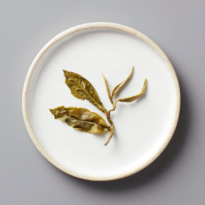 JASMINE BAI HAO | SCENTED GREEN