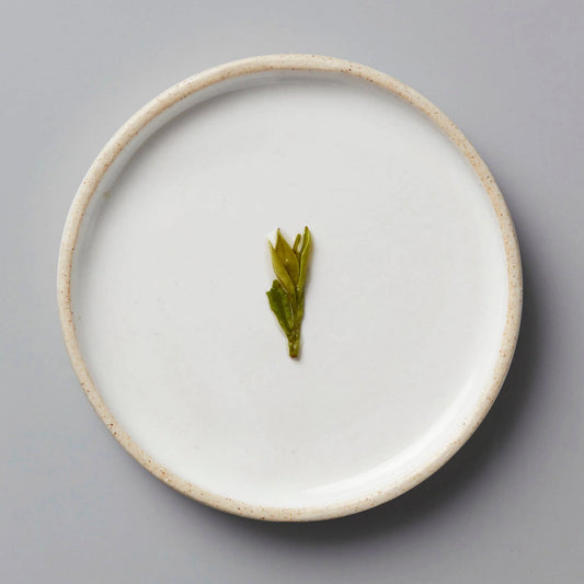 SESSION LONGJING | GREEN