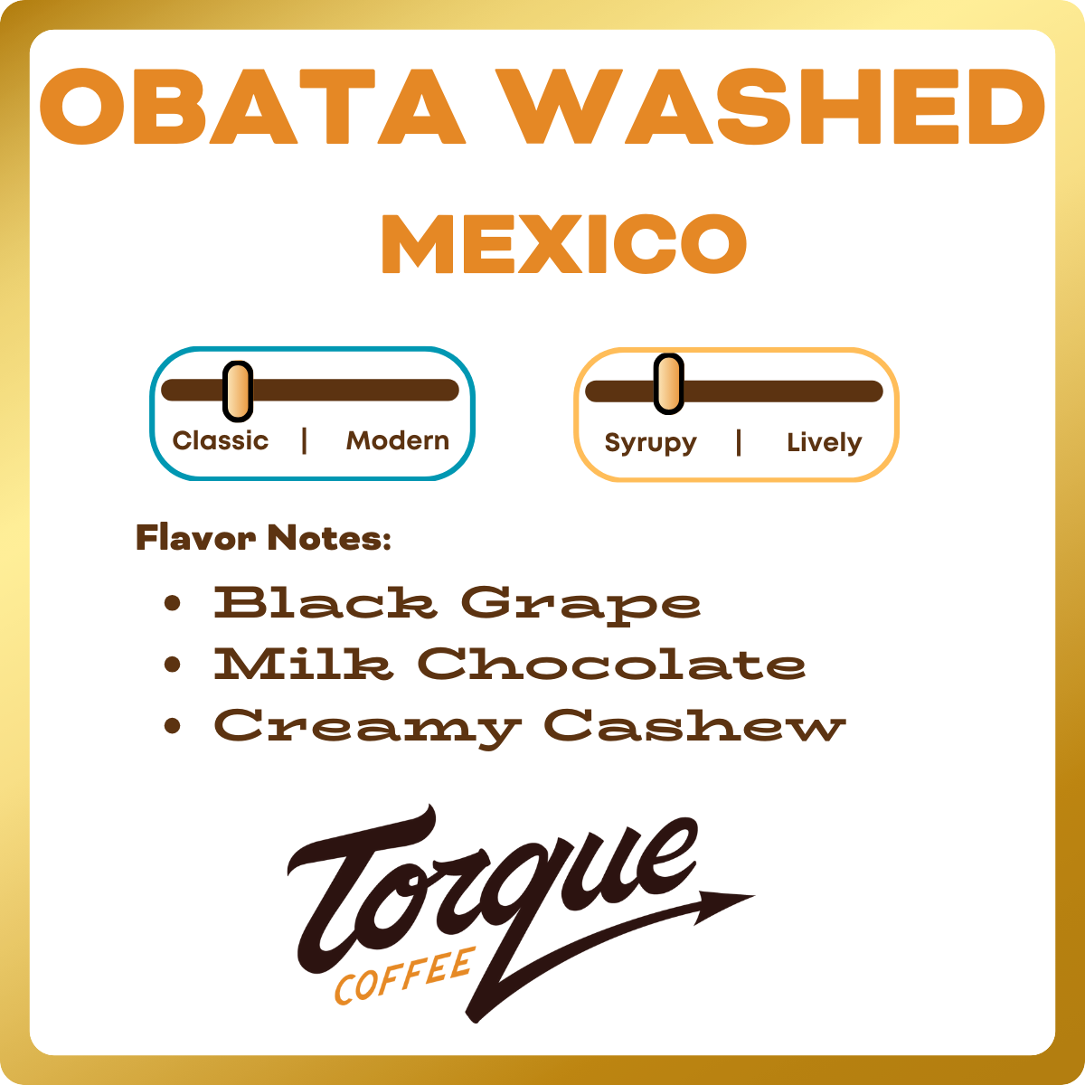Obata Washed - Alejandro Martinez, Mexico - Torque Coffees - 