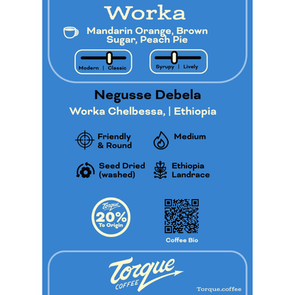 Worka Chelbessa - Negusse Debela, Ethiopia