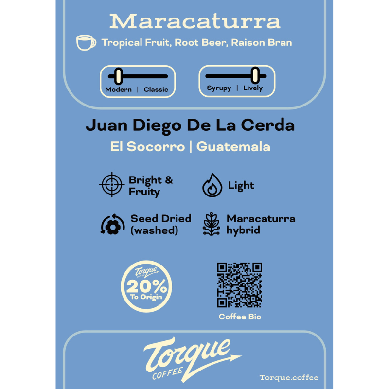 Maracaturra - Juan Diego De La Cerda, Guatemala