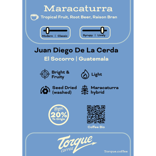 Maracaturra - Juan Diego De La Cerda, Guatemala