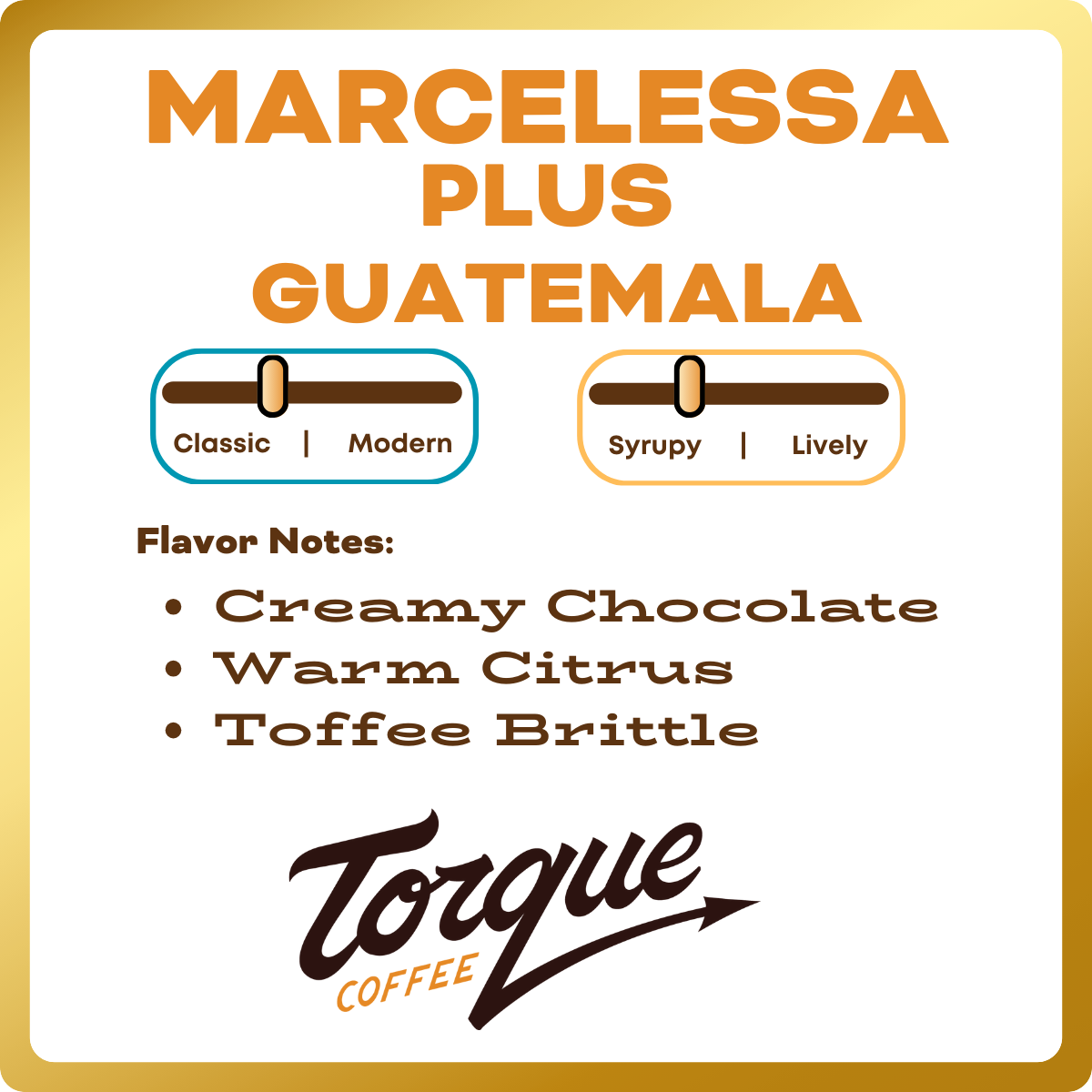 Marcelessa PLUS - Juan Diego De La Cerda, Guatemala