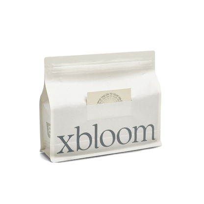 White packaging with 'xbloom' branding on a white background